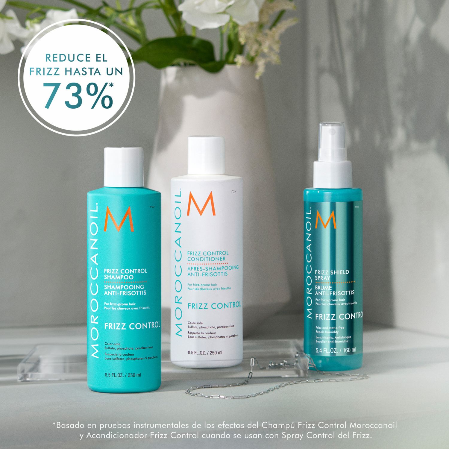 FRIZZ CONTROL CONDITIONER (ACONDICIONADOR CONTROL ANTI-FRIZZ)
